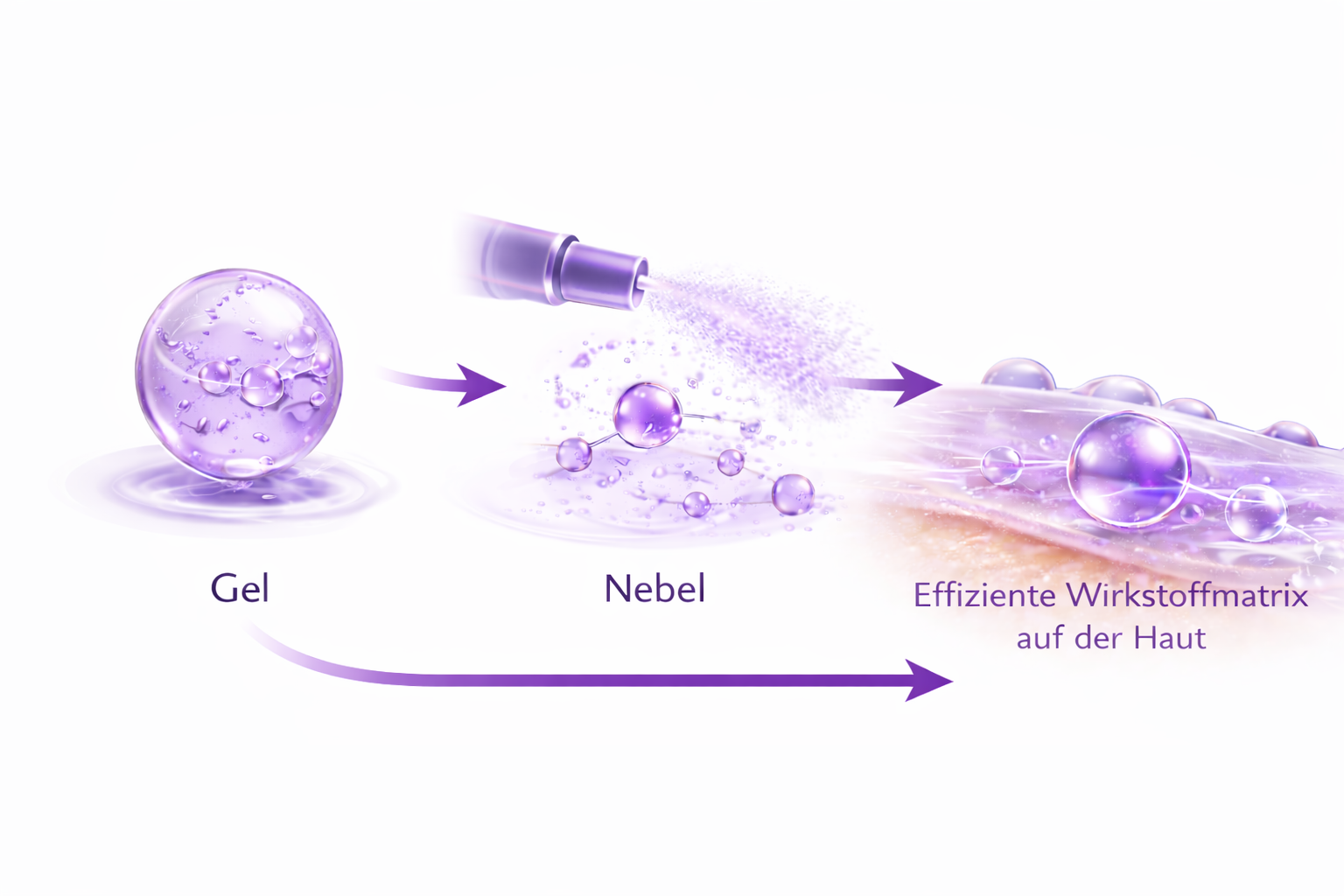 hydra jelly zeitstrahl